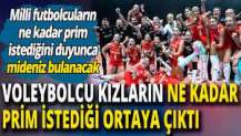 Voleybolcu kızların ne prim istediğini Şerafettin Tilki açıkladı. Milli futbolcuların ne istediklerini öğrendiğinizde mideniz bulanacak