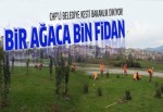 Yalova'da kesilen 180 ağacın yerine 18 bin fidan dikildi