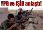 YPG ve IŞİD anlaştı