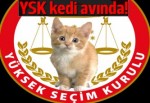 YSK Başkanı Güven: Kedileri topladık, kedi kalmadı