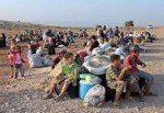 Yüzlerce Suriyeli daha Türkiye'ye sığındı