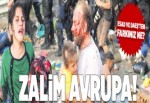 Zalim Avrupa