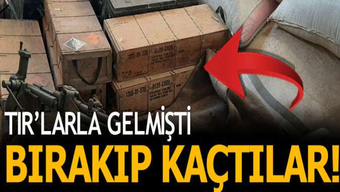 TIRlarla gelmişti! Bırakıp kaçtılar