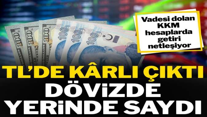 TL’de kârlı çıktı dövizde yerinde saydı