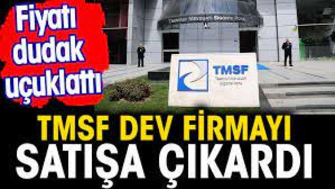 TMSF dev firmayı satışa çıkardı. Fiyatı dudak uçuklattı