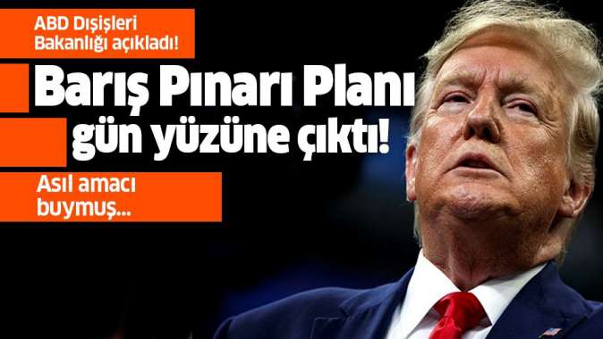 Trumpın Barış Pınarı Harekatı planı gün yüzüne çıktı!.