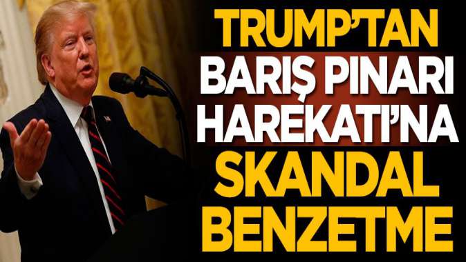 Trump'tan Barış Pınarı Harekatı'na skandal benzetme