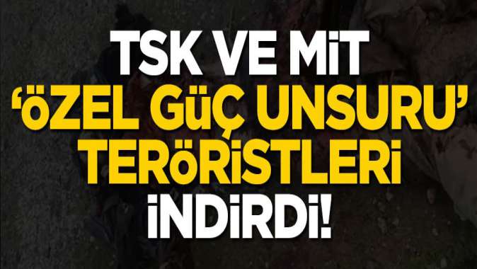 TSK ve MİTin çalışmasıyla özel gün unsuru PKKlılar öldürüldü