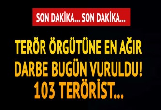 TSK'dan Zeytin Dalı harekâtı açıklaması