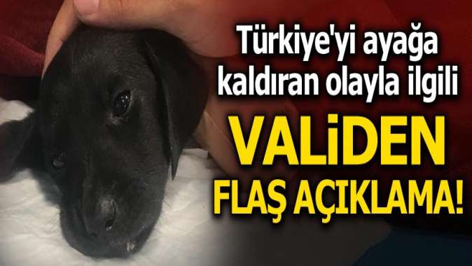 Türkiyeyi ayağa kaldıran olayla ilgili validen flaş açıklama