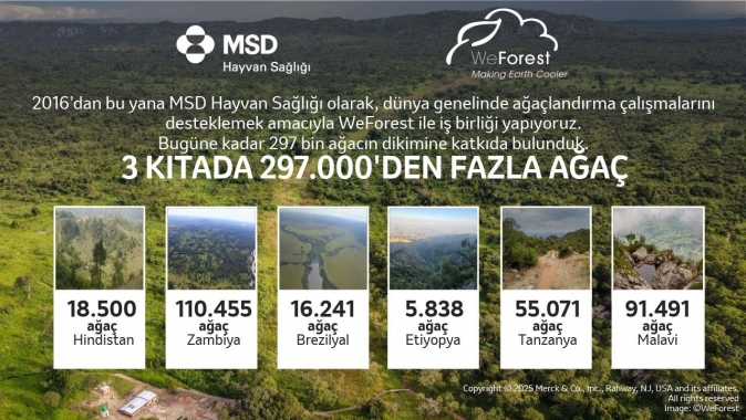 Üç Kıtada 297 Bin Ağaç: MSD Hayvan Sağlığı ve WeForest 10. Yılını Kutluyor