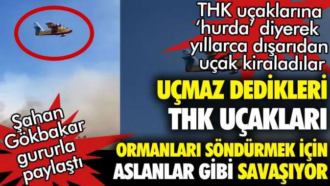 Uçmaz dedikleri yangın söndürme uçakları Datçada aslanlar gibi savaşıyor.