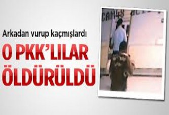 Van'da 2 PKK'lı etkisiz hale getirildi