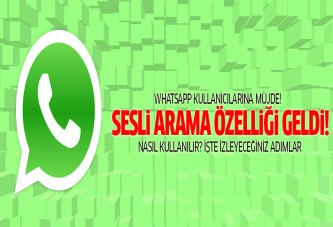 Whatsapp sesli arama özelliği geldi! Nasıl kullanılır?