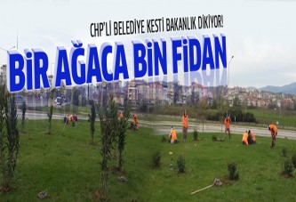 Yalova'da kesilen 180 ağacın yerine 18 bin fidan dikildi