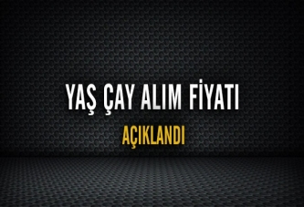 Yaş çay alım fiyatı