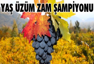 Yaş üzüm zam şampiyonu