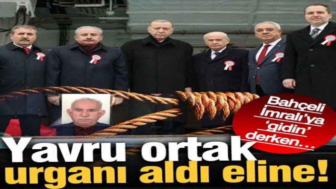 Yavru ortak Destici, urganı aldı eline! Bahçeli İmralı’ya ‘gidin’ derken…
