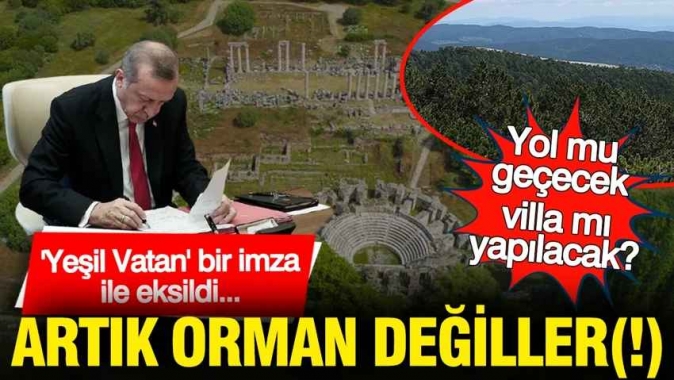 Yeşil Vatan bir imza ile eksildi: Artık orman değiller