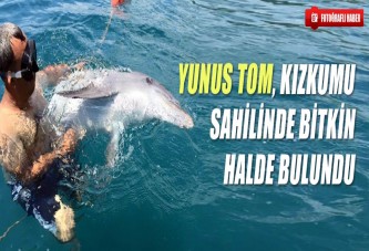 Yunus Tom, Kızkumu Sahilinde Bitkin Halde Bulundu