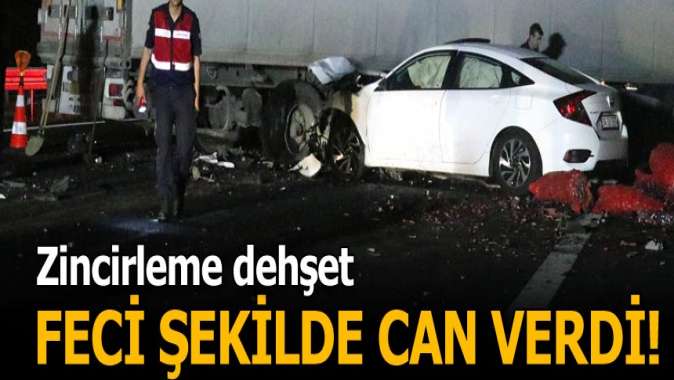 Zincirleme kazada feci şekilde can verdi