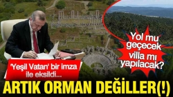 'Yeşil Vatan' bir imza ile eksildi: Artık orman değiller