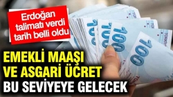 Emekli maaşı ve asgari ücret tamamen değişiyor: Erdoğan seçim talimatını verdi, tarih belli oldu