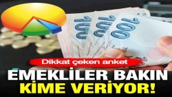 ORC'den 'emekli' anketi: CHP birinci çıktı