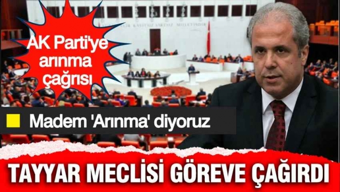 Şamil Tayyar: Sadece CHP değil, tüm partiler arınmalı