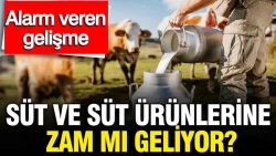 Süt ve süt ürünlerine zam mı geliyor? Üretimdeki sert düşüş alarm veriyor